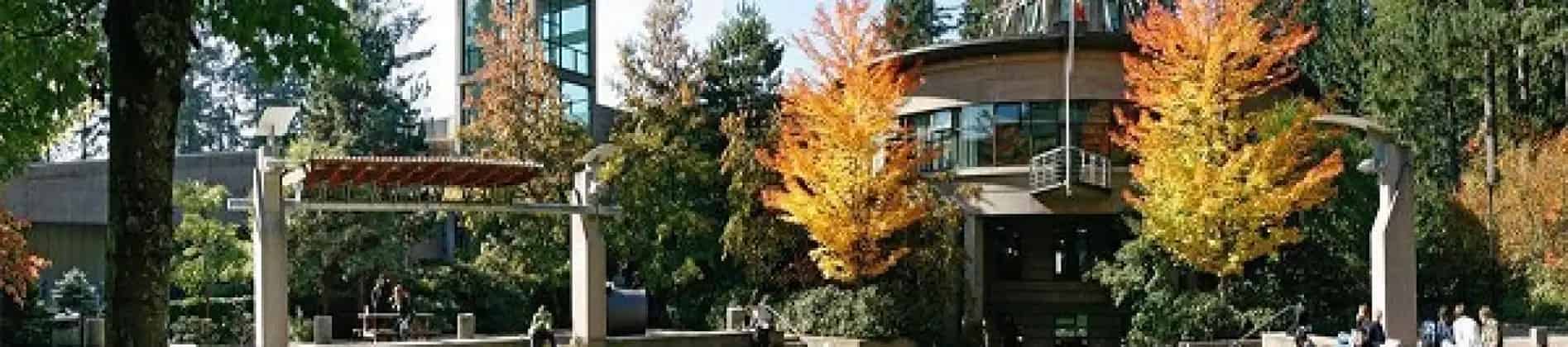 Bachelor of Design in Visual Communication